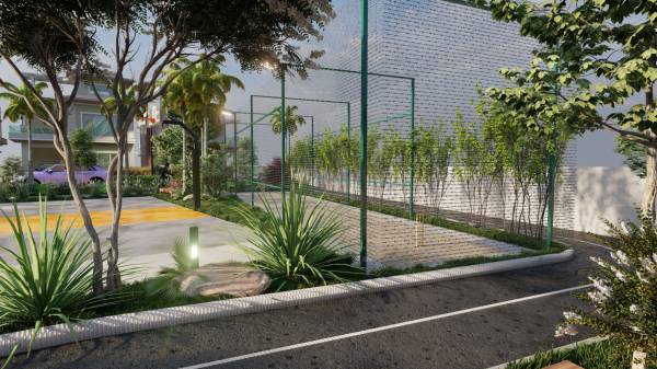  palm-paradise Others