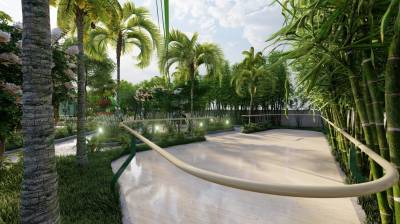  palm-paradise Others