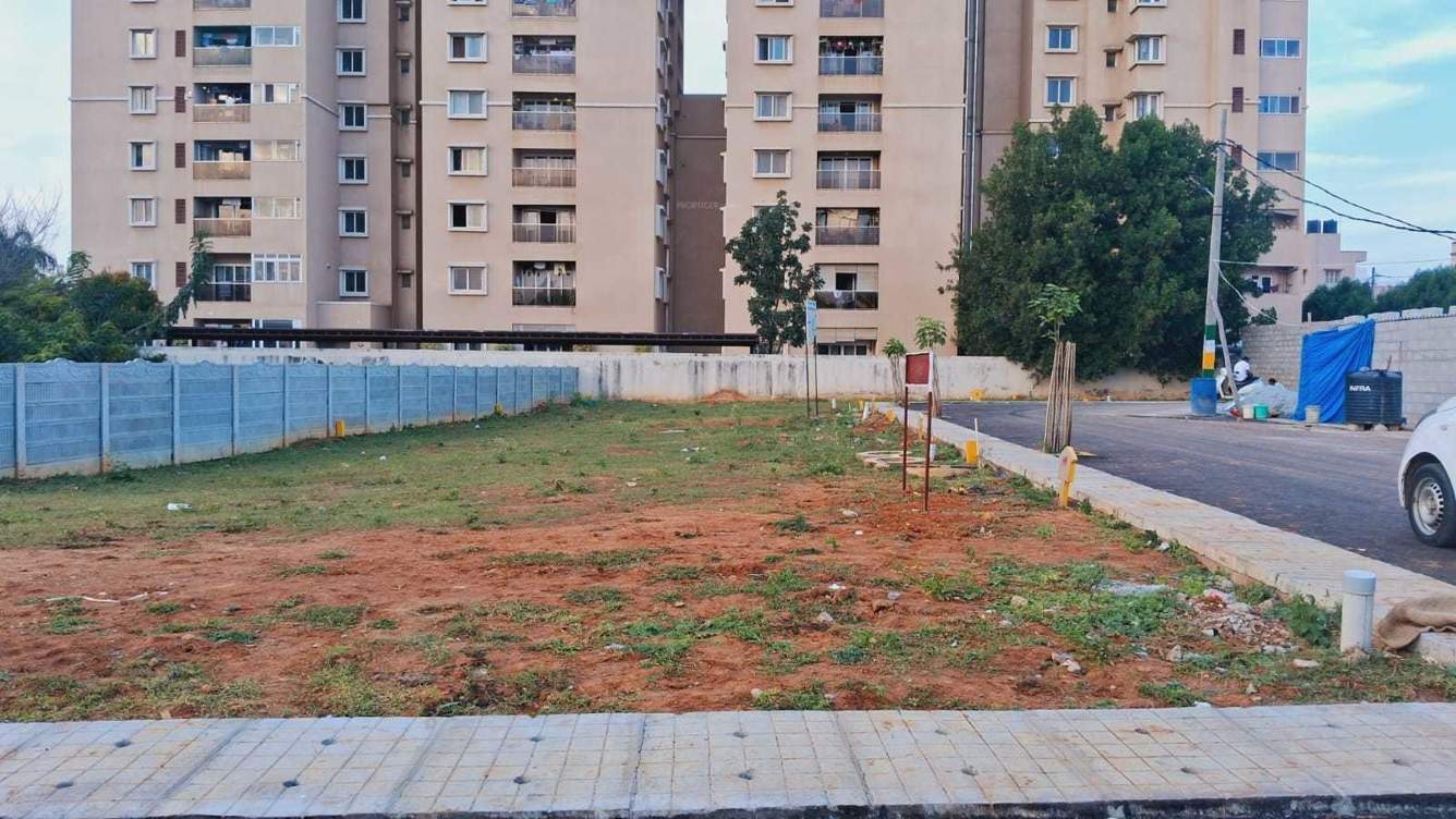  rose garden layout Plot