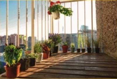 Balcony aranyak-society Balcony