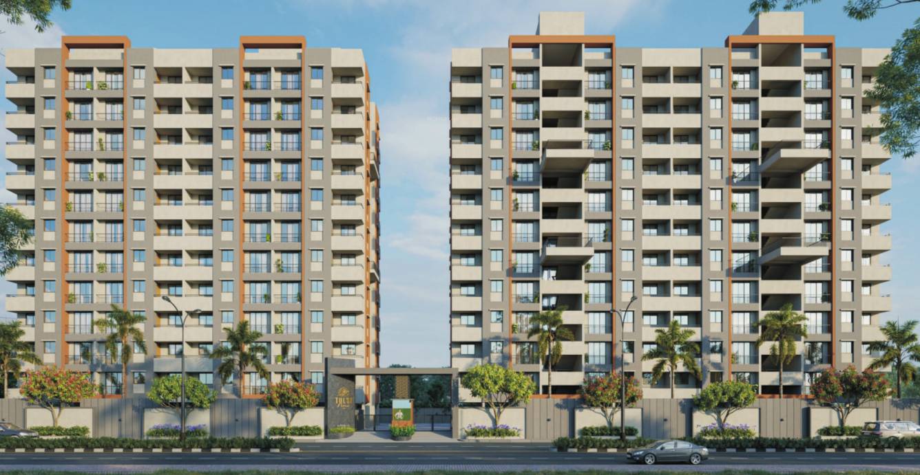  tulsi patra Elevation