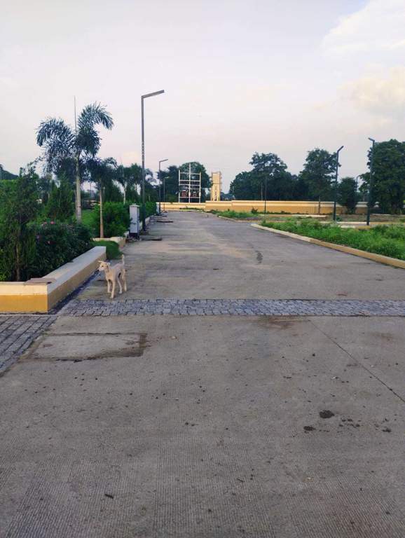  kataria city colony b block phase 1 Others