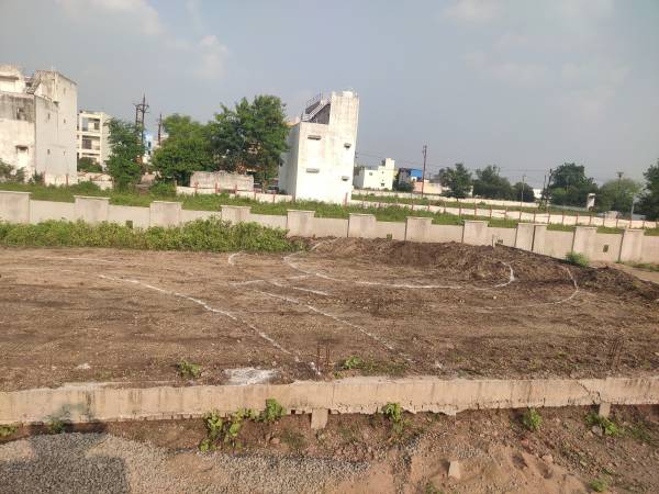 Plot lotus-city Plot