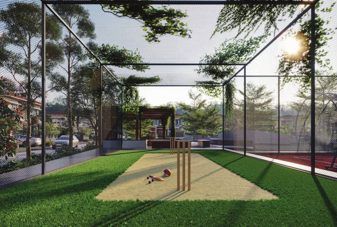  solace Cricket Pitch