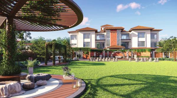 Others solace Others