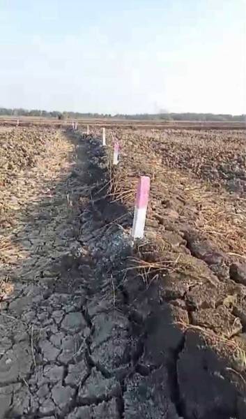  aj-land-in-sarde-third-maha-mumbai Plot