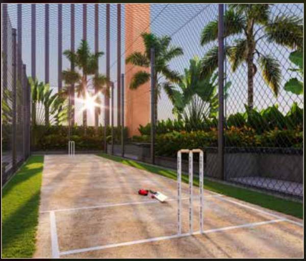  primoris Cricket Pitch