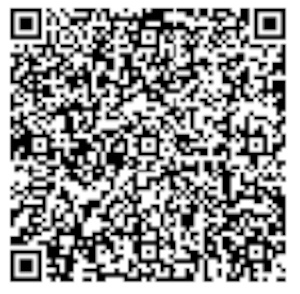 QR Image