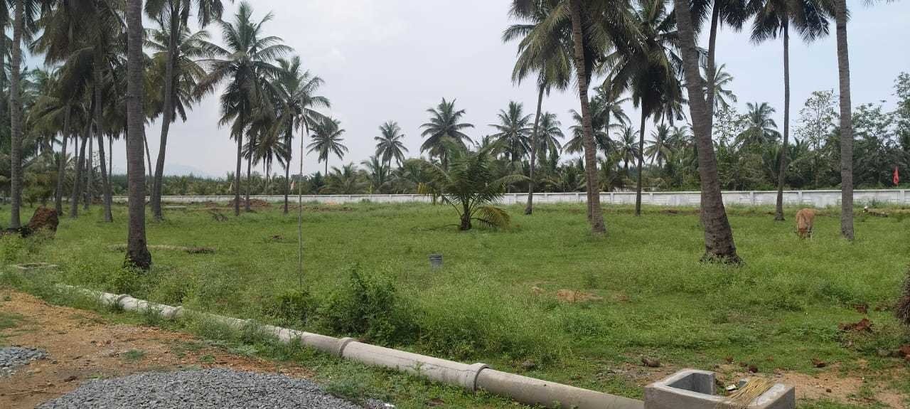 pr estates garuda Plot