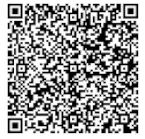 QR Image