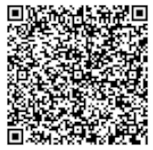 QR Image