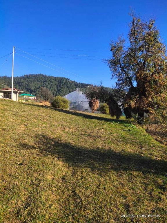 mashobra vally Elevation