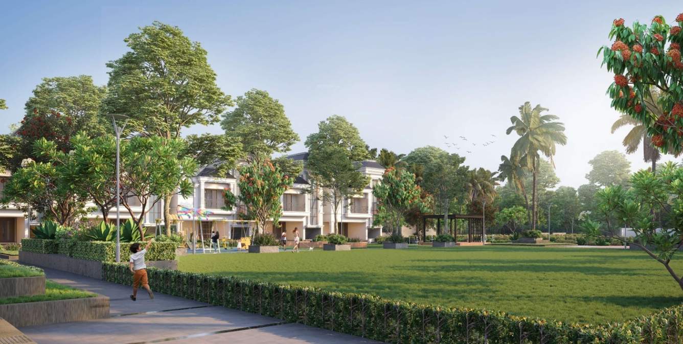  estate celestia Landscape Garden and Tree Planting