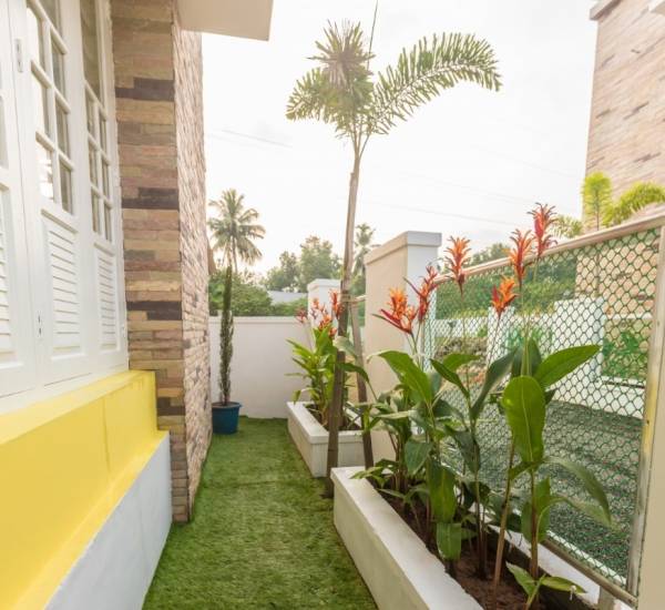  meadows Landscape Garden and Tree Planting