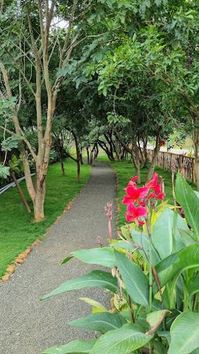  urban-santo Landscape Garden and Tree Planting