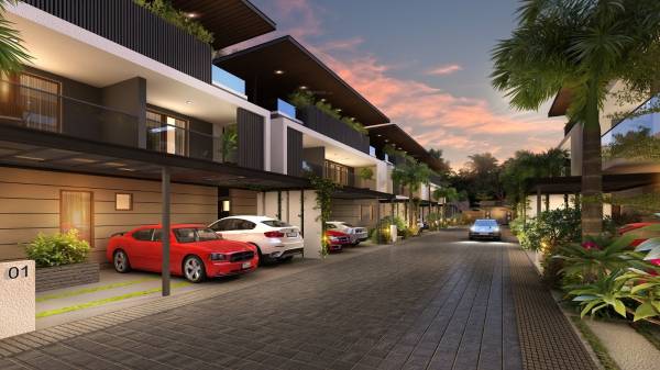 Car Parking heaven-honour Car Parking