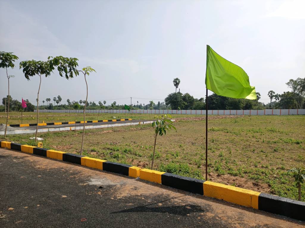  plotza phase 2 Landscape Garden and Tree Planting