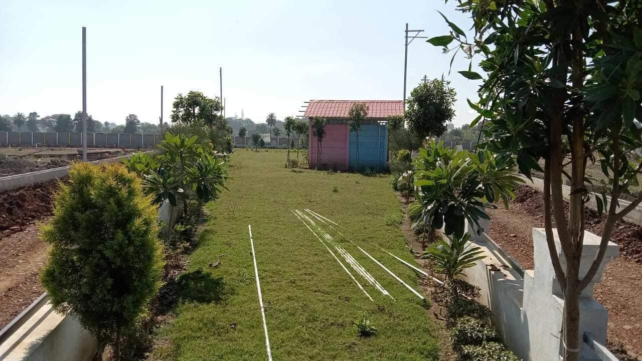  ib city Landscape Garden and Tree Planting