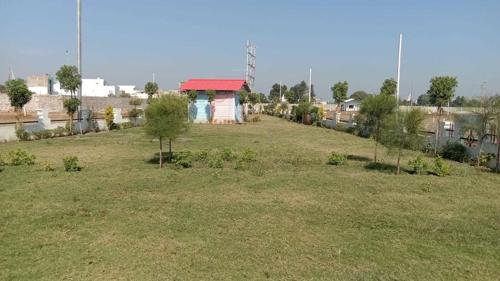 Landscape Garden and Tree Planting ib-city Landscape Garden and Tree Planting