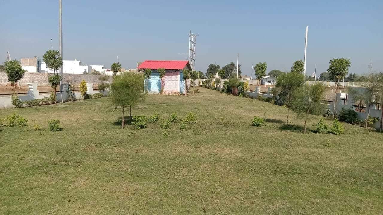  ib city Landscape Garden and Tree Planting