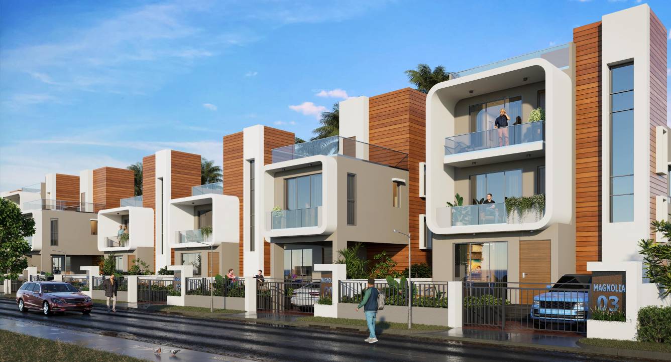 Elevation magnolia ii renaissance Elevation