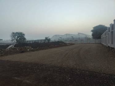 Elevation gold-city Elevation