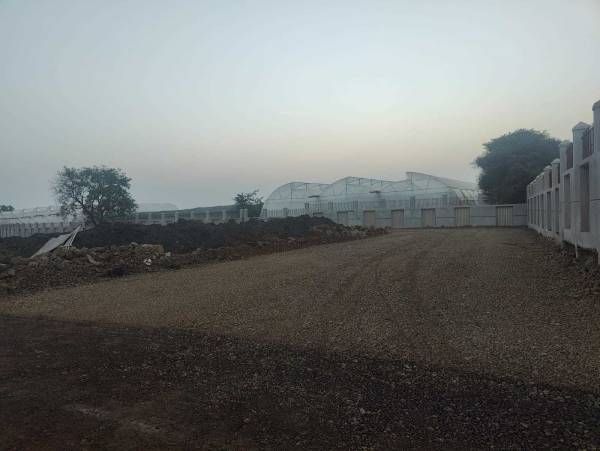 Elevation gold-city Elevation