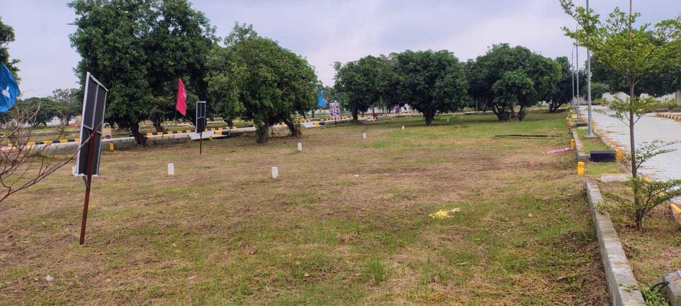  golden crest phase 1 Plot