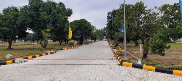  golden-crest-phase-1 Plot