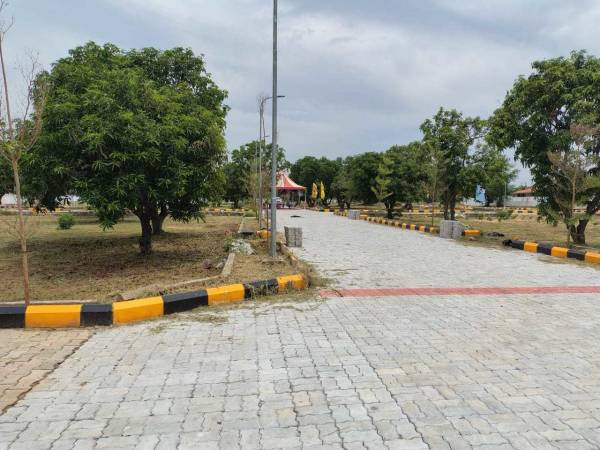  golden-crest Elevation