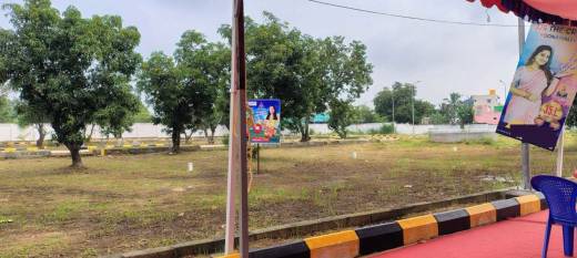 golden-crest Elevation Elevation