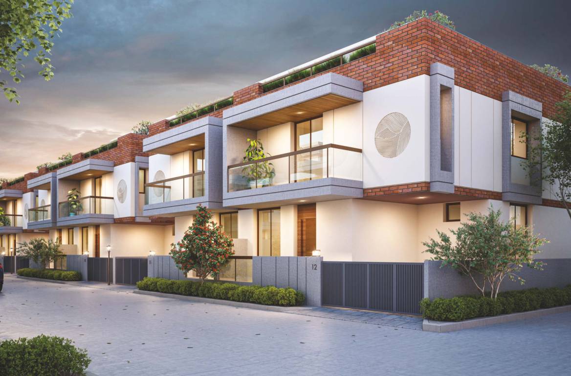  nexus elegance Elevation