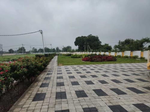  heights-2 Landscape Garden and Tree Planting