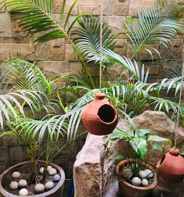  the-edge Landscape Garden and Tree Planting