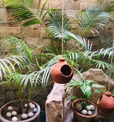 Landscape Garden and Tree Planting the-edge Landscape Garden and Tree Planting