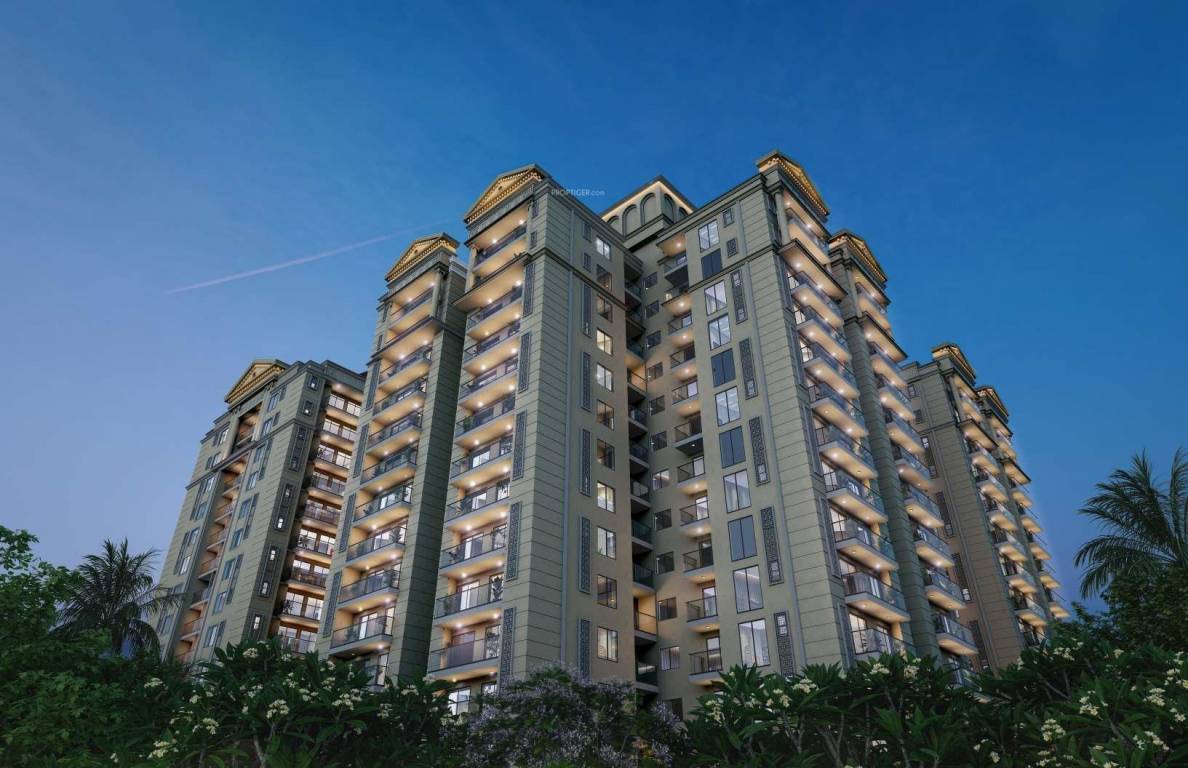 Elevation dps palladio Elevation