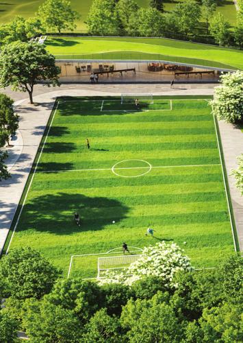  estate-and-club Football Field