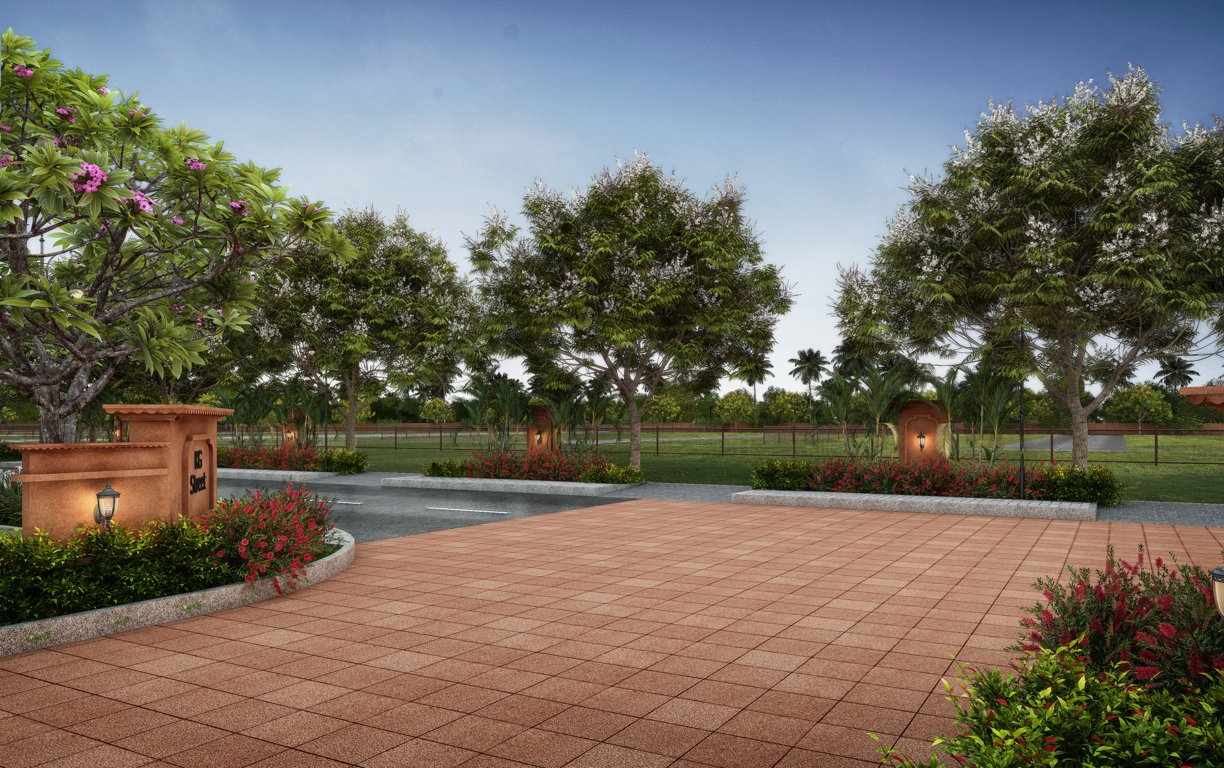  kingdom of joy Others