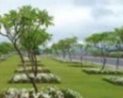  kashidham developers Landscape Garden and Tree Planting