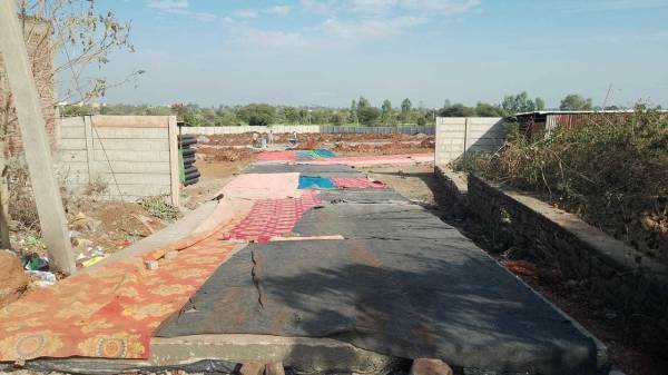 Plot shalimar-bag Plot