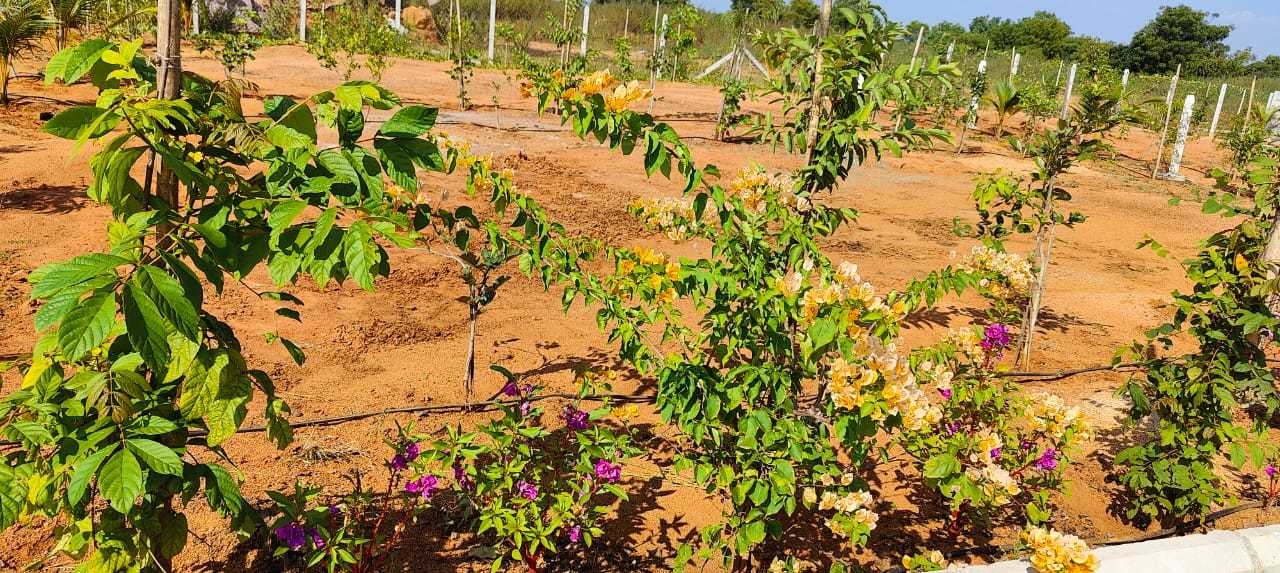  gachibowli paradise county phase 5 Plot