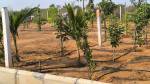  gachibowli-paradise-county-phase-5 Plot