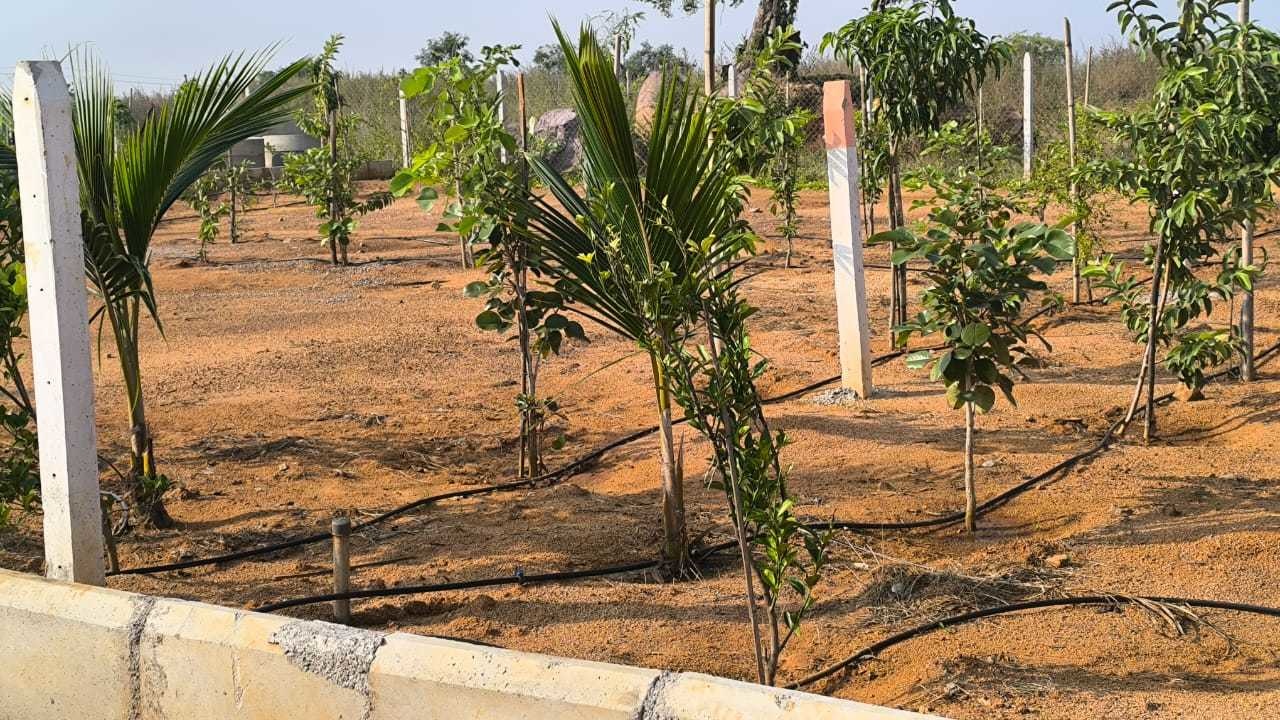  gachibowli paradise county phase 5 Plot