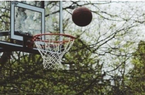 Basketball Court veena-vatika Basketball Court