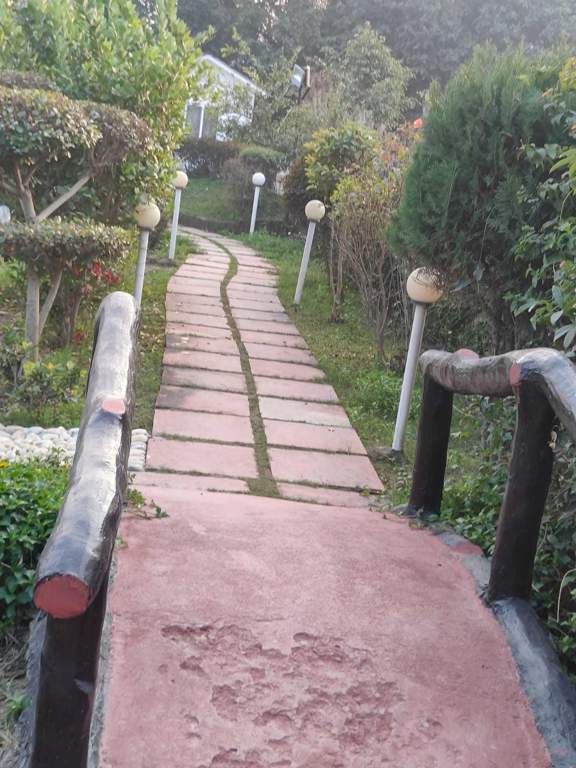  green beauty farm house Others