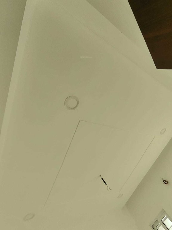 sunshine Sunshine Construction Status March 25