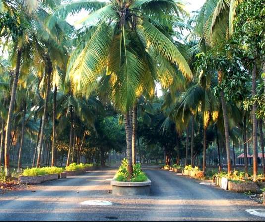 royal village Internal Roads & Footpaths