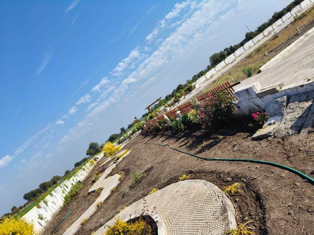  mahamaya nagar Plot