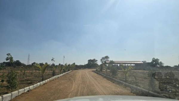 Elevation lemon-tree-park Elevation