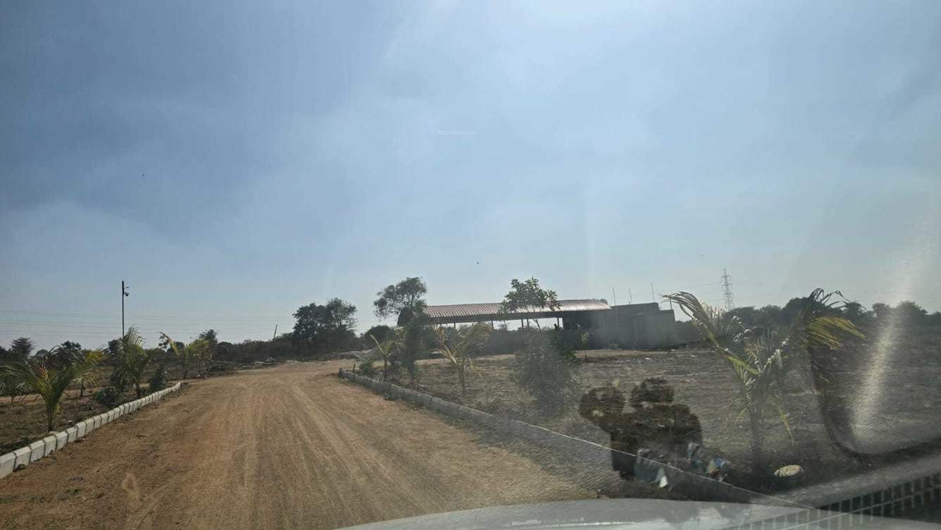  lemon tree park Plot